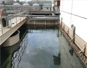 線路板廢水處理